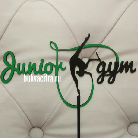 топпер c логотипом гимнастика